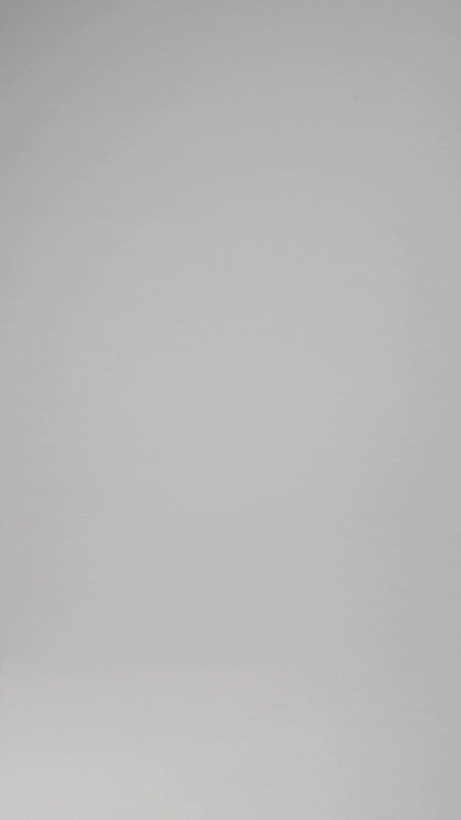 ZOE SMALL VITELLO STRIZZATO